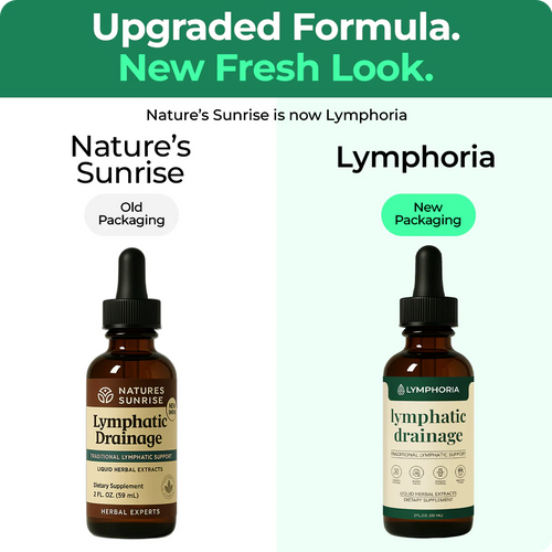 Lymph