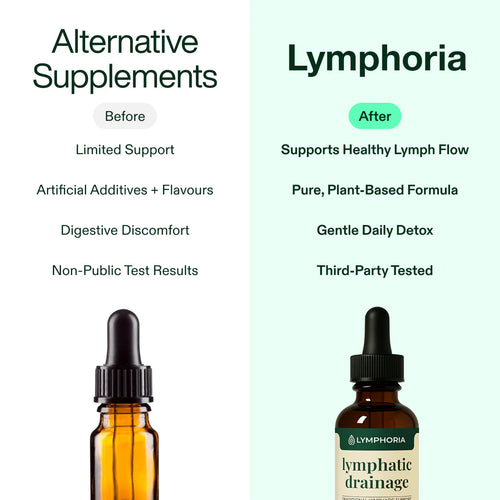 Lymph